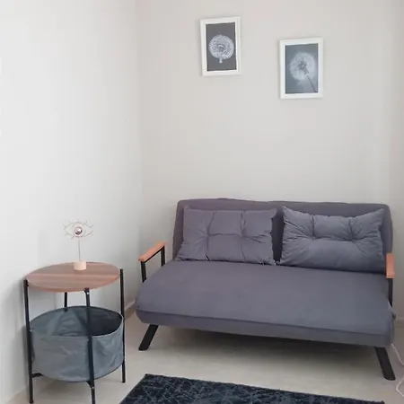 Dolphin Residences - Begonya 2 *